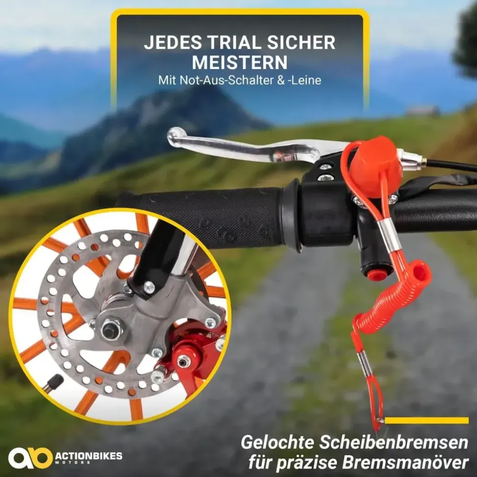 ACTIONBIKES MOTORS Delta 49 ccm 2,0 PS 40 km/h Grün