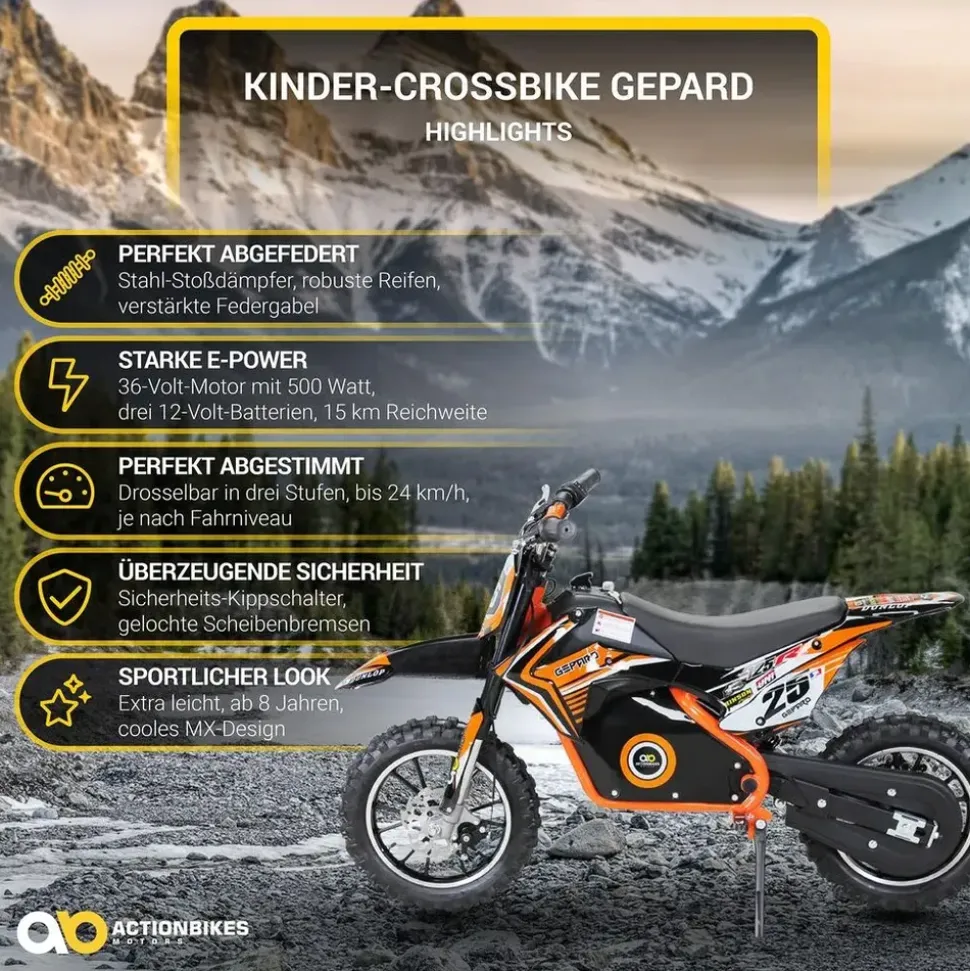 ACTIONBIKES MOTORS Mini Crossbike Gepard orange (PR0018560-04)