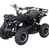 ACTIONBIKES MOTORS Torino Elektro Kinderquad schwarz (1000 Watt)