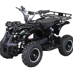 ACTIONBIKES MOTORS Torino Elektro Kinderquad schwarz (1000 Watt)