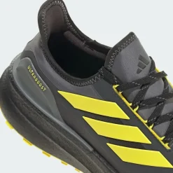 adidas Ultraboost 5 GTX