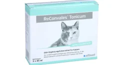 Alfavet ReConvales Tonicum Katze