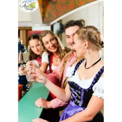 Alpenschnaps Marille 35% vol 1 l