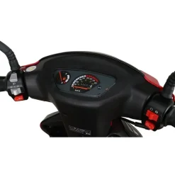 Alpha Motors  CityLeader 50 ccm 25 kmh EURO 5 inkl. Topcase