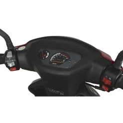 Alpha Motors CityLeader 50 ccm 3,0 PS 45 km/h rot inkl. Topcase