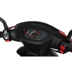 Alpha Motors CityLeader 50 ccm 3,0 PS 45 km/h schwarz