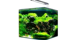 Amtra Nanotank System 60 60,0 l komplett mit LED-Licht und Filter mehrfarbig