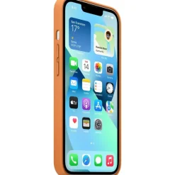 Apple iPhone 13 Leder Case mit MagSafe