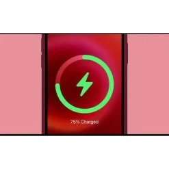 Apple iPhone 12 mini Silikon mit MagSafe