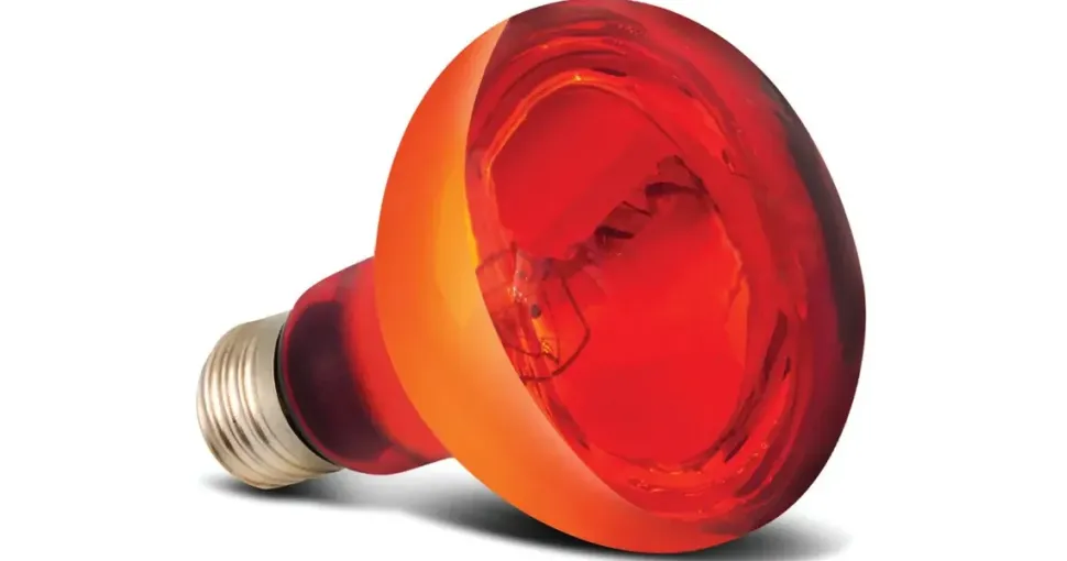 Arcadia Infrarot Wärmelampe E27 150W
