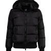Armani Exchange Damen Daunenjacke - Steppjacke mit Kapuze, Reißverschluss, Echte Daunen, Warm Gefüttert