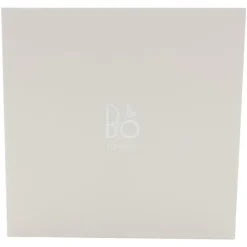 Bang & Olufsen Beosound A1 3. Gen