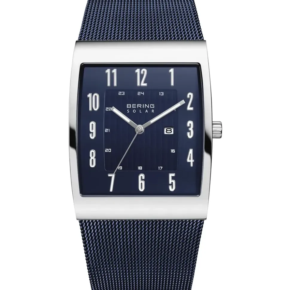BERING Solar 16433