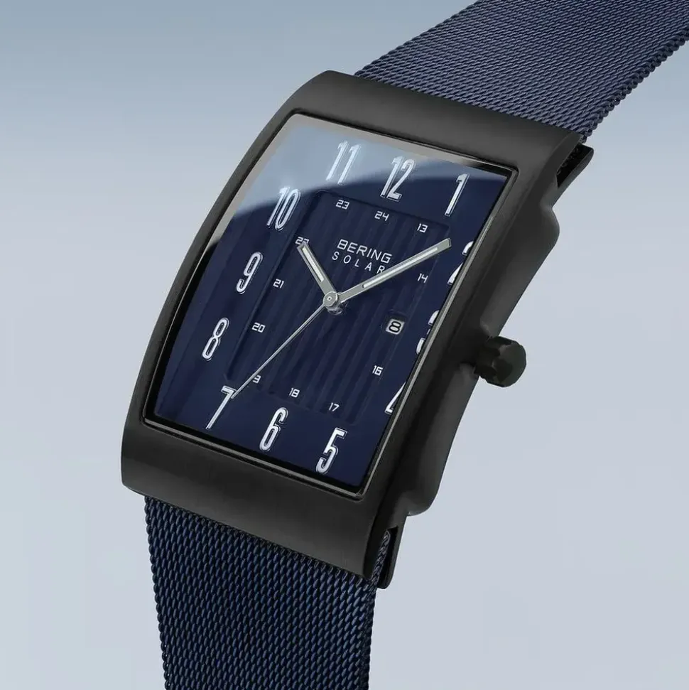 BERING Solar 16433