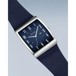 BERING Solar 16433