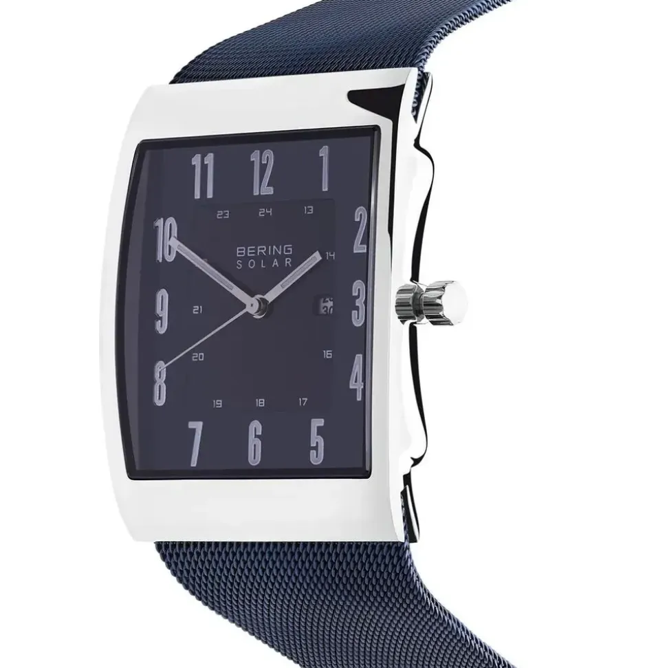 BERING Solar 16433