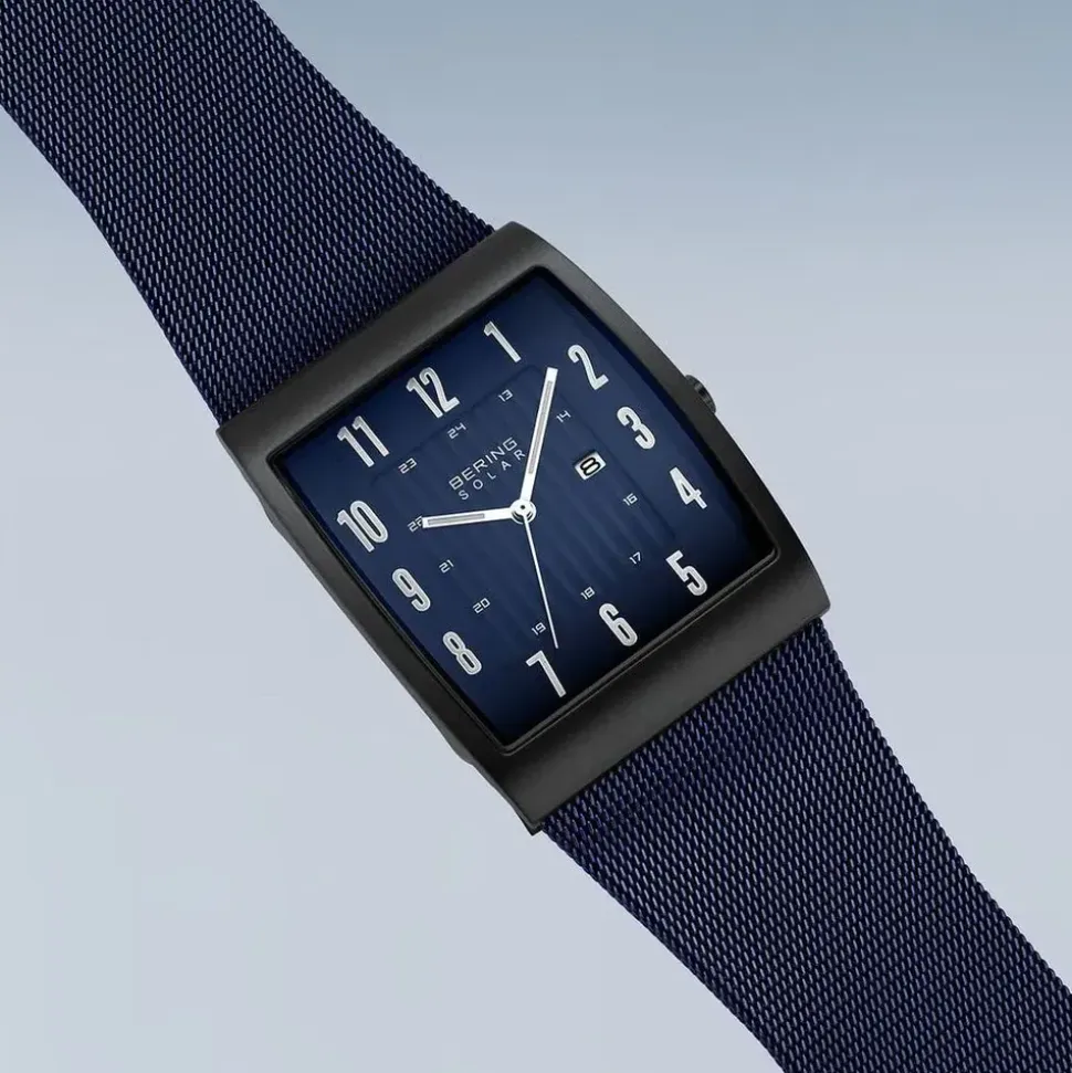 BERING Solar 16433