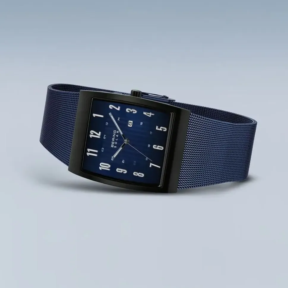 BERING Solar 16433