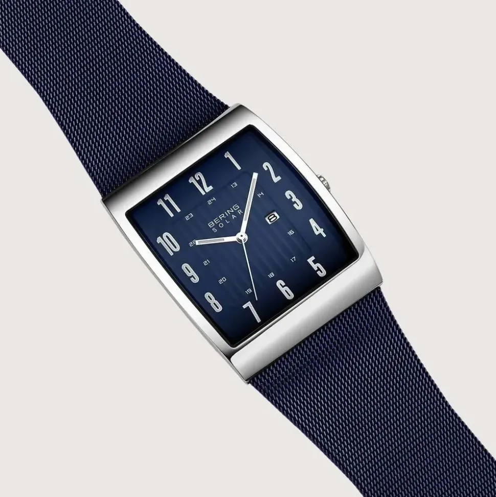 BERING Solar 16433