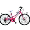 biciclette canellini LINCY 24 Zoll RH 31 cm fuchsia