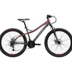Bikestar Hardtail Mountainbike 26" grau/rot 21-Gang Scheibenbremse