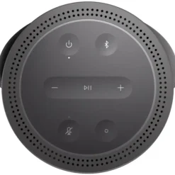 Bose Portable Smart Speaker