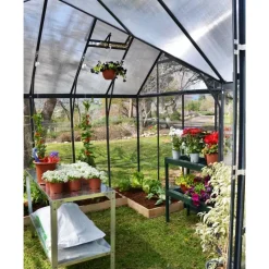 CANOPIA Victory Orangerie Alu HKP 4 mm 11,1 m²