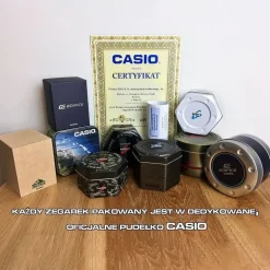 Casio Collection LA-20WHS-2AEF Plastic/Resin 30 mm