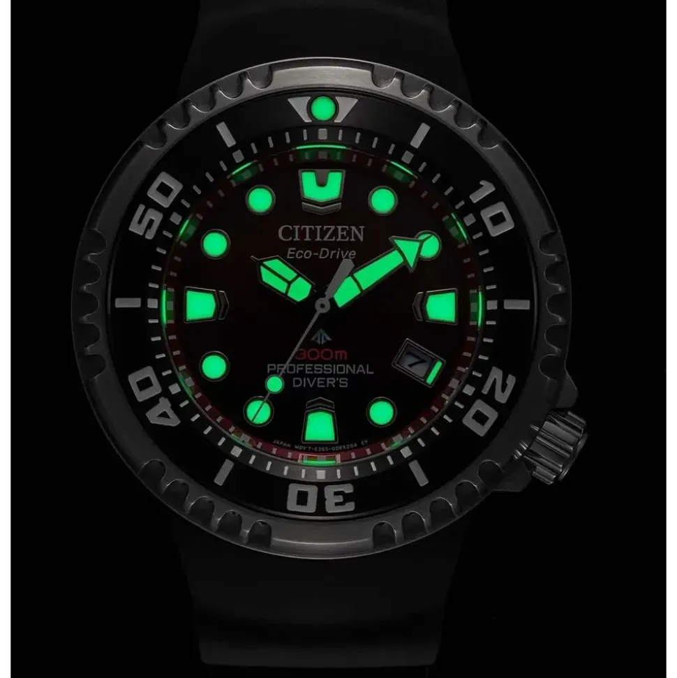 Citizen Promaster Eco-Drive Armbanduhr Dive