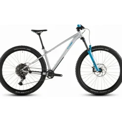 Cube Reaction TM ONE 2026 29 Zoll RH XL Unisex grau