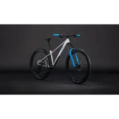Cube Reaction TM ONE 2026 29 Zoll RH XL Unisex grau