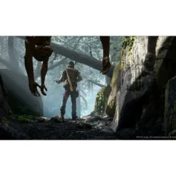 Days Gone (USK) (PS4)