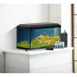 Dehner Aqua Start 60 Komplettaquarium mit Futter/Pflege schwarz