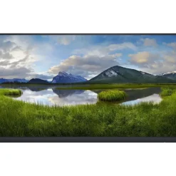 Dell P 22H