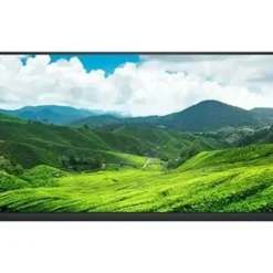 Dell P 22H