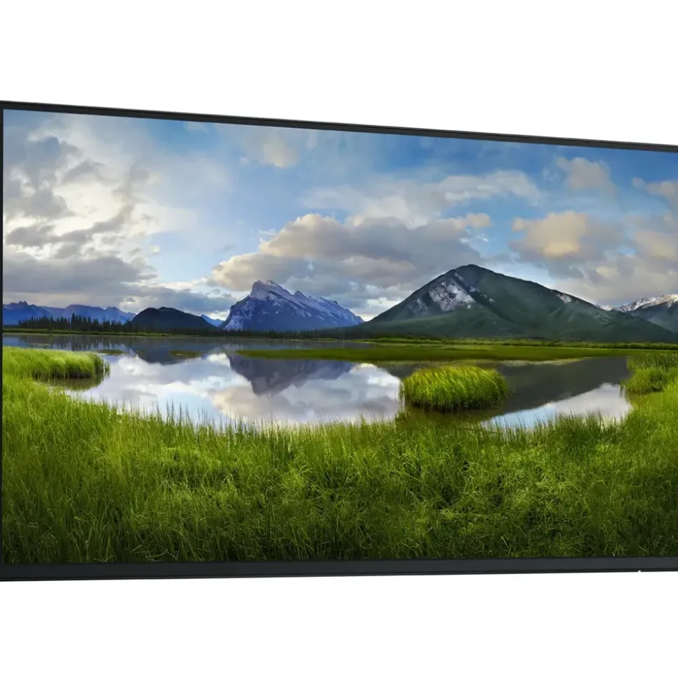 Dell Pro 24 Plus P2425