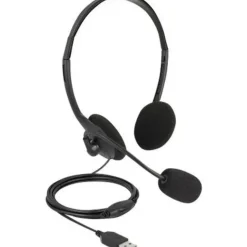 DeLock USB Stereo Headset 27178