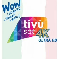 DIGIQuest Tivùsat 4K Ultra HD Conditional Access Module (cam)