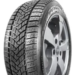 Dunlop Winter Sport 5