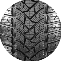 Dunlop Winter Sport 5