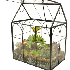 ElegantLife Geometrisches Terrarium aus Glas für Sukkulenten und Luftpflanzen (Keine Pflanze im Lieferumfang enthalten)