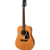 Epiphone DR-100 NA natur