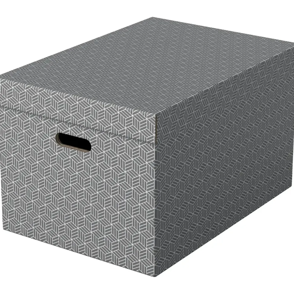 Esselte Aufbewahrungsbox Groß 51 x 35,5 x 30,5 cm 3-tlg. grau