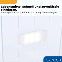 Exquisit Gefriertruhe GT220-HE-010A weiß | 217 l Nutzinhalt | Energieklasse A | Schnellgefrieren | LED-Anzeige | abschließbare Tür