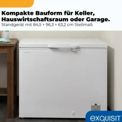 Exquisit Gefriertruhe GT220-HE-010A weiß | 217 l Nutzinhalt | Energieklasse A | Schnellgefrieren | LED-Anzeige | abschließbare Tür