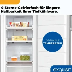 Exquisit GS5231-NF-H-040C Silber