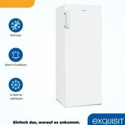Exquisit GS231-NF-H-040D weiß