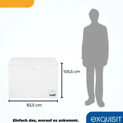 Exquisit GT300-050C