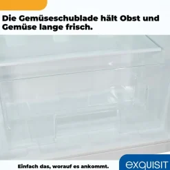 Exquisit KS15-4-051C Kühlschrank