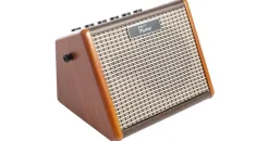Fame AG-15A Akustikgitarren Verstärker 15 Watt | 2-Kanal | Akkubetrieben | Bluetooth-Schnittstelle | Echo-Effekt | Ideal für Gitarre und Gesang | Leicht und Tragbar